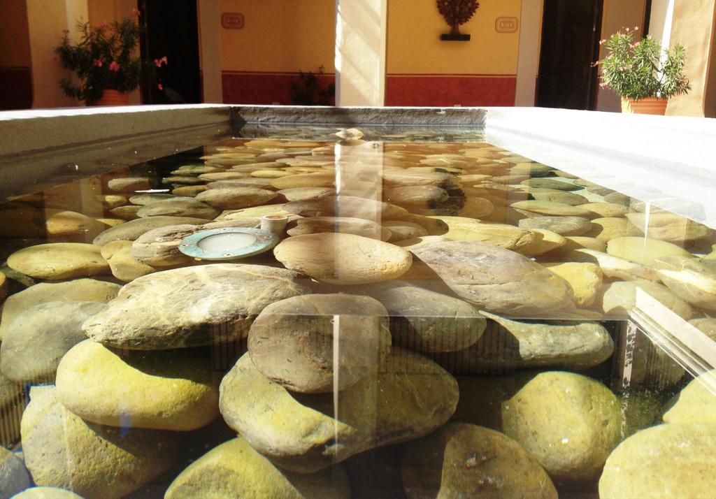 Hotel Boutique Las Palomas De Santiago Pueblo Magico Zewnętrze zdjęcie